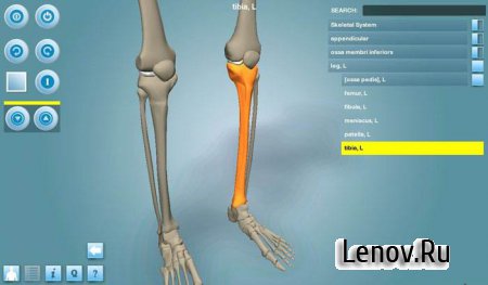 Anatomy 3D Pro - Anatronica ( v 2.0.5)