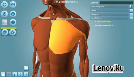 Anatomy 3D Pro - Anatronica ( v 2.0.5)