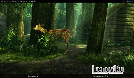 Forest HD ( v 1.6.1) (Unlocked)