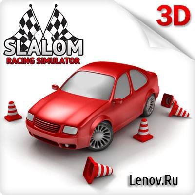 Slalom Racing Simulator v 1.0