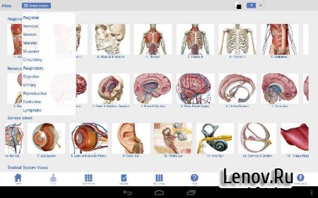 Human Anatomy Atlas 2023 v 2023.0.09  ( )