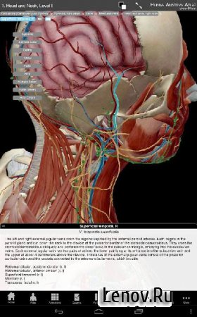 Human Anatomy Atlas 2023 v 2023.0.09  ( )