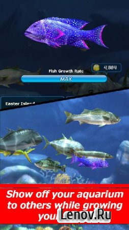 Улётный клёв: рыбалка в 3D v 5.5.0 Мод (простая ловля)