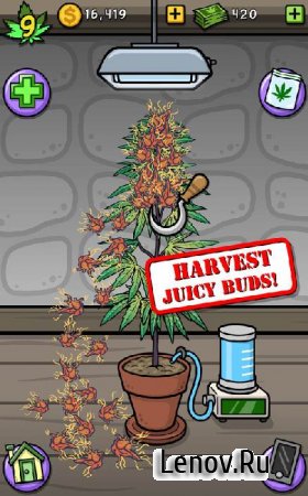 Bud Farm: Grass Roots v 29.3.1  (Mod Money/Pot Bucks/Infinite Guano/Mystery Seeds)