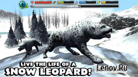 Snow Leopard Simulator v 1.2