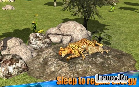 Angry Cheetah Simulator 3D v 1.1