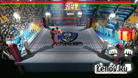 King of Boxing（3D） v 1.0