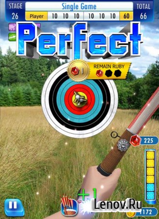 Archer Champion:    3D  v 1.0.2  (Unlimited Coins/Rubies)