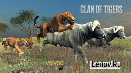 Clan of Tigers v 1.0