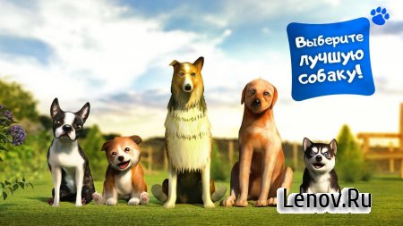 Dog Simulator ( v 2.2.3) (Mod Money/Ads-Free)