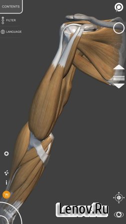 3D Anatomy for the Artist Lite v 1.0.3