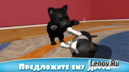 Daily Kitten : virtual cat pet v 3.4 (Mod Money/Ad-Free)