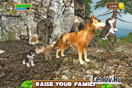 Furious Wolf Simulator v 1.0 (Mod Money)
