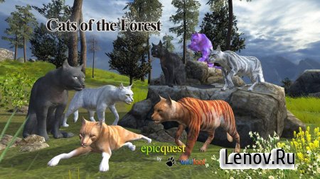 Cats of the Forest v 1.0