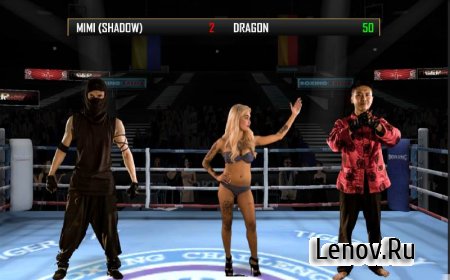 Boxing Combat v 1.05 (Mod Money)