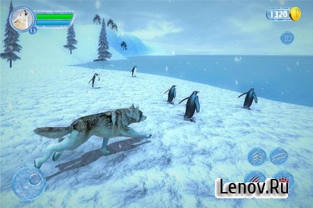 Arctic Wolf Sim 3D v 1.1 (Mod Money)