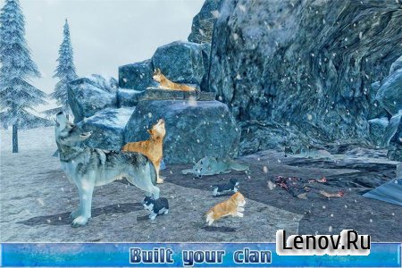 Arctic Wolf Sim 3D v 1.1 (Mod Money)