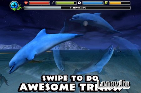 Dolphin Simulator v 1.1  (a large amount of experience)