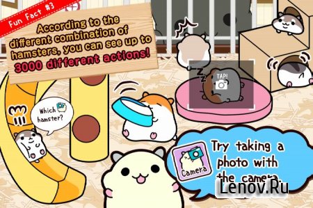 HamsterCollection&#9670;Freegame v 2.5.0 (Unlimited Seeds/Gold Seeds)