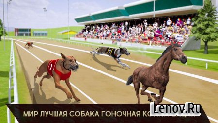 Dog Crazy Race Simulator v 1.0 (Mod Money)