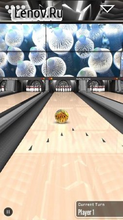 Bowling 3D Master v 1.0 (Full)