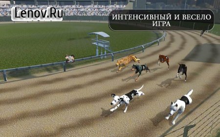Crazy Dog Racing v 2.2.9 (Mod Money)