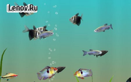 MyLake 3D Aquarium v 1.2.7180  (Unlocked)