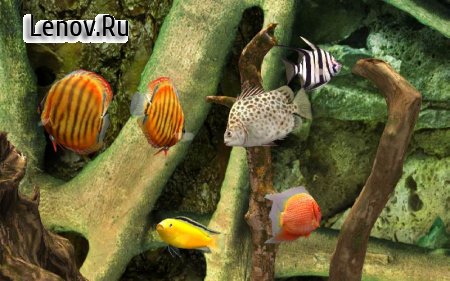 MyLake 3D Aquarium v 1.2.7180 Мод (Unlocked)