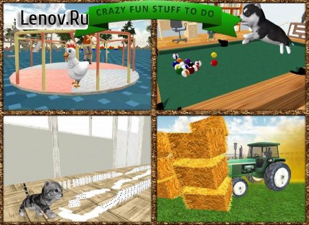 Cat Simulator v 4.9.2 Mod (Unlocked)
