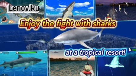 Wild Shark Fishing v 1.0.6 (Mod Money)