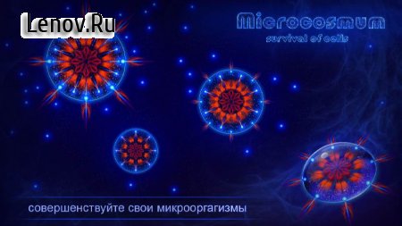 Microcosmum: survival of cells v 4.4 Мод (Everything is open)