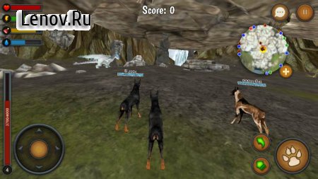 Dog Survival Simulator v 1.0 (Mod Money)