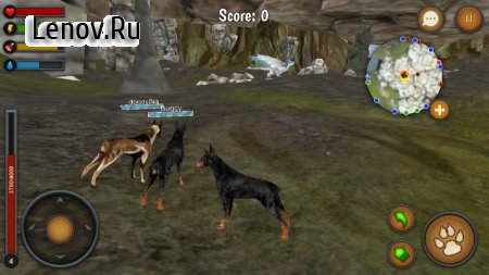 Dog Survival Simulator v 1.0 (Mod Money)