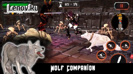 Revenge of Dungeon Warrior v 2.9 (Mod Money)