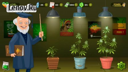 Kush Tycoon: Pot Empire v 3.2.40  (Unlimited Licenses/Gems/Water)