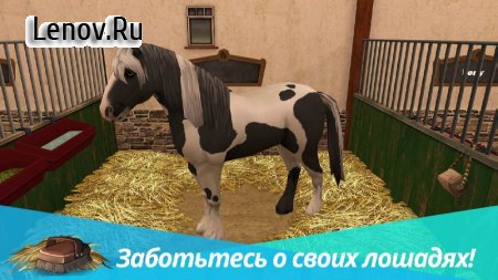 Horse World Premium – Play with horses v 4.4 Мод (много денег)