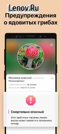 Picture Mushroom - Mushroom ID v 2.9.3 Mod (Premium)