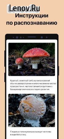 Picture Mushroom - Mushroom ID v 2.9.11 Mod (Premium)