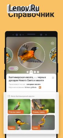 Picture Bird - Bird Identifier v 2.9.5 Mod (Premium)