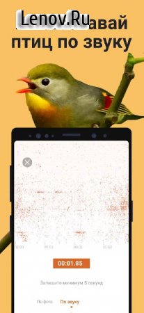 Picture Bird - Bird Identifier v 2.9.5 Mod (Premium)