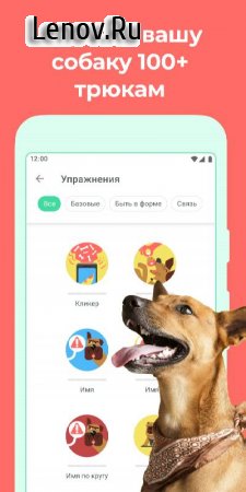 Дого - Дрессировка Собак v 8.11.0 Mod (Pro)