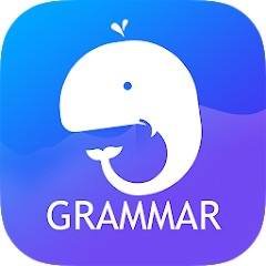 English Grammar: Learn & Test v 3.5 b29 Mod (Premium)