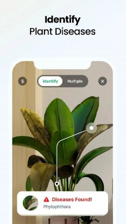 Plant App - Plant Identifier v 2.2.6 Mod (Premium)