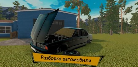 The Wildest Car v 0.0.6 (Mod Money/No ads)