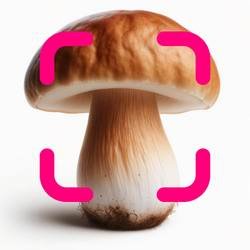 Mushroom Identification v 3.2.0 Mod (Premium)