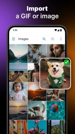 GIF Live Wallpaper v 4.1.1 Mod (Premium)