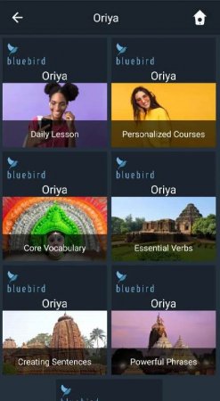 Learn Oriya. Speak Oriya. Stud v 2.2.8 Mod (Premium)