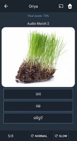 Learn Oriya. Speak Oriya. Stud v 2.2.8 Mod (Premium)