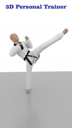 Taekwondo Workout At Home v 1.67 Mod (Premium)