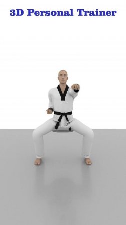 Taekwondo Workout At Home v 1.67 Mod (Premium)